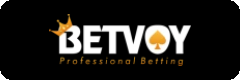 Betvoy logo