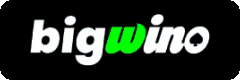 Bigwino logo